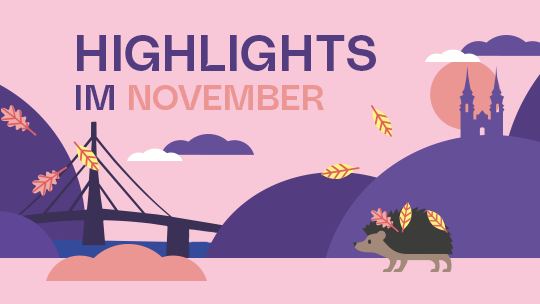 Linz erleben im November 2025